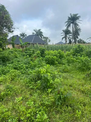 A Plot of Land for Sale at Koka Back of Uniosun