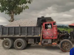 China Oriental Mining Company