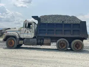 China Oriental Mining Company