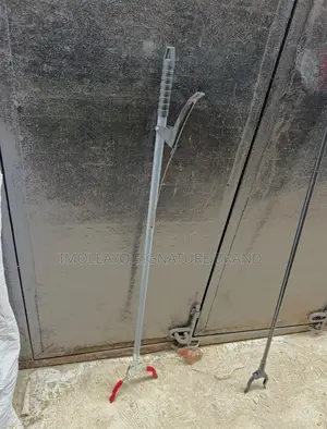 Waste Picker Or Trash Picker