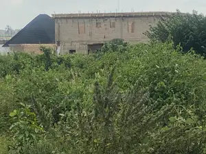 Nice and Genuine 90ft by 200ft With C of O in Amagba for Sale