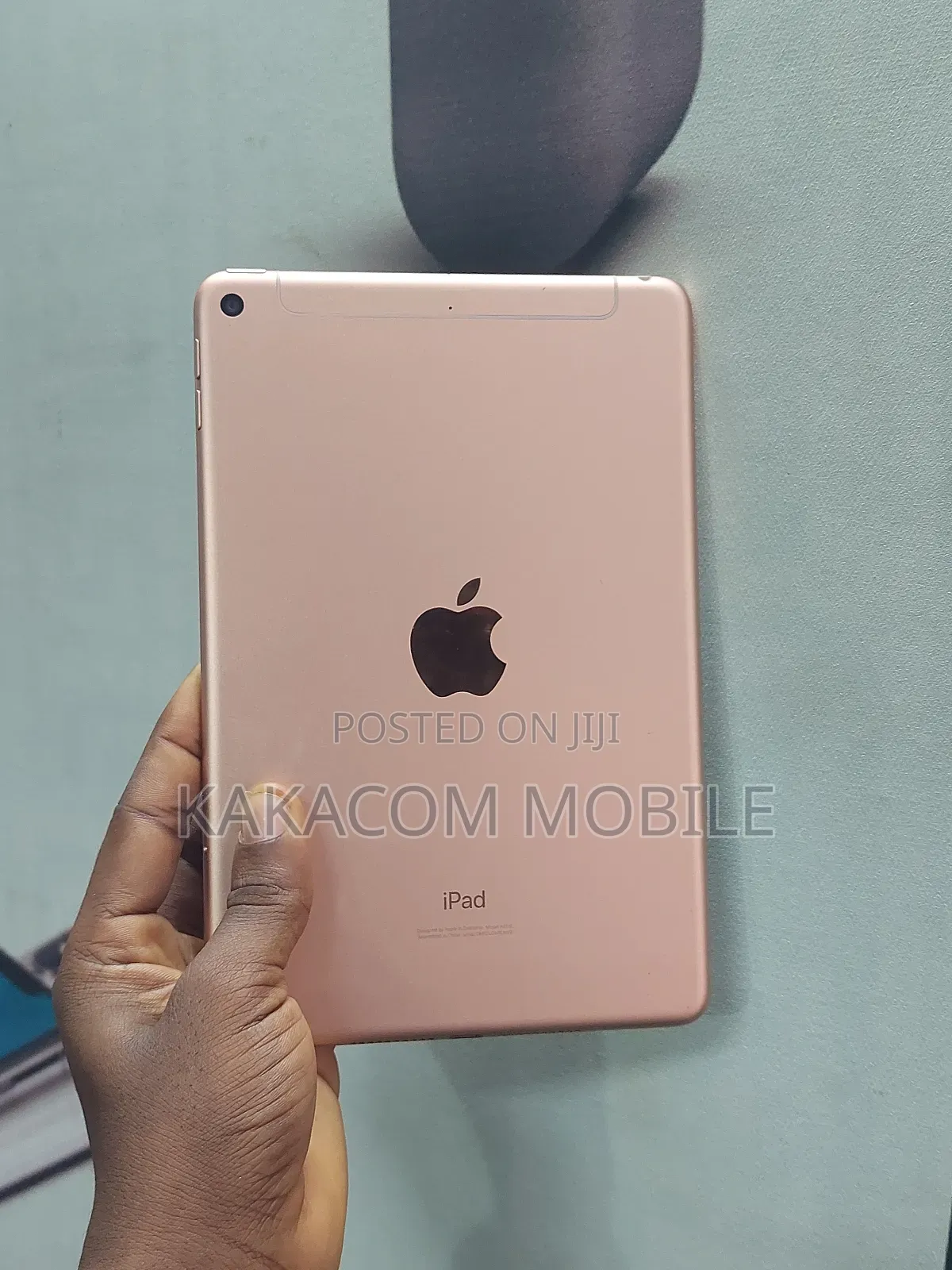 Apple iPad mini 5 64 GB Pink