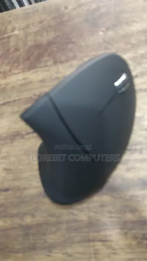 Ergonomic Mouse