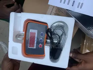 Digital Crane Scale