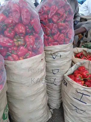 Fresh Tomato Big Basket and Pepper Big Bag