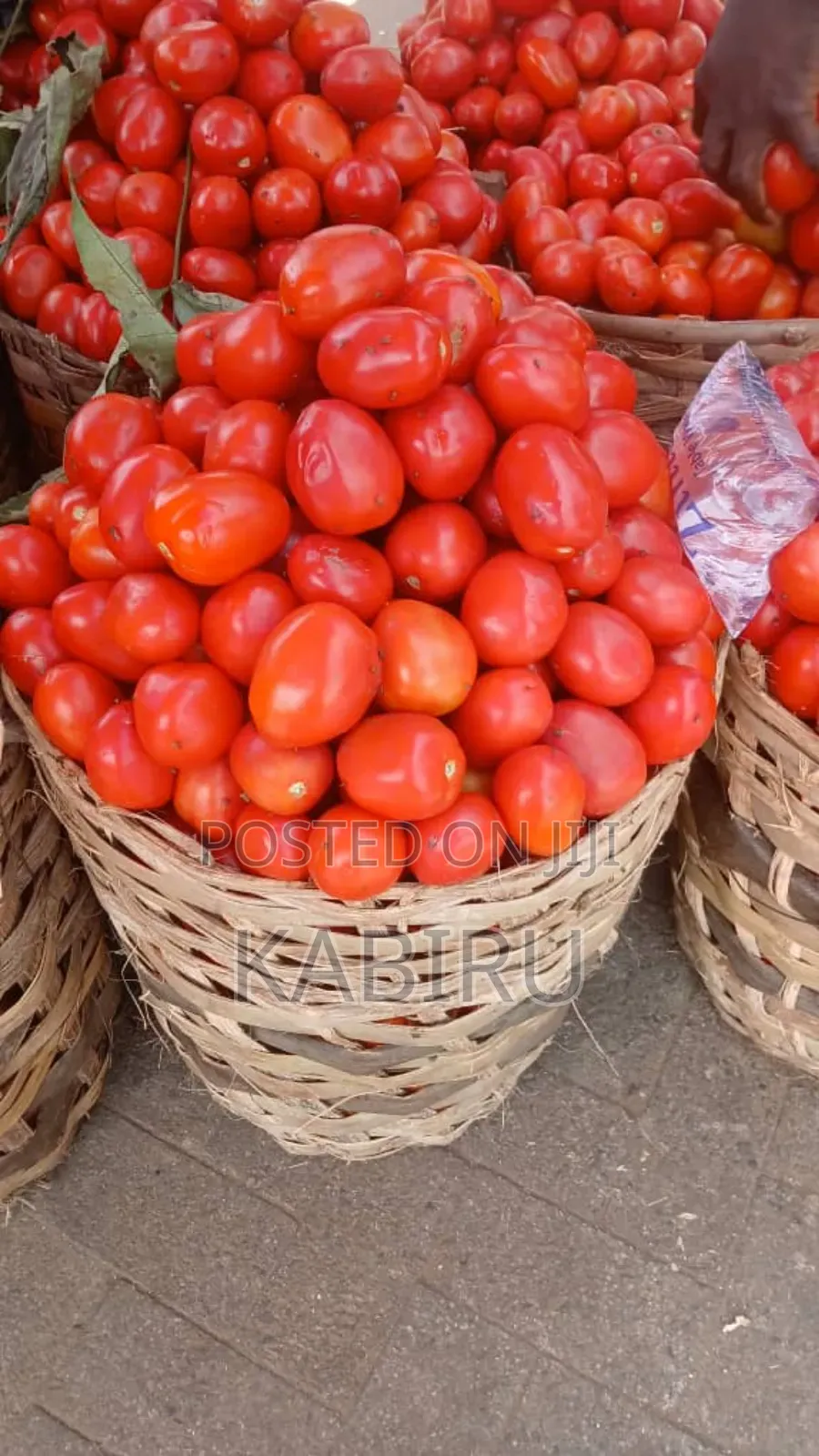 Fresh Tomato Big Basket and Pepper Big Bag