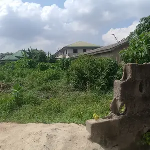 Another Very Affordable 30 Ft by 120 Ft Half Plot N32m