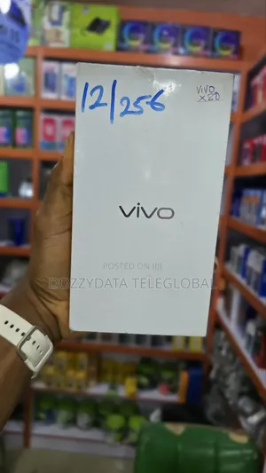 New Vivo X80 256 GB Orange