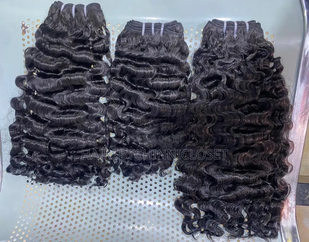 Beau Sdd Burmese Curls