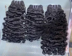 Beau Sdd Burmese Curls
