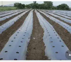 Mulching Film