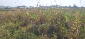 10ha Guzape 2 Mixed Used Plot for Distress Sale