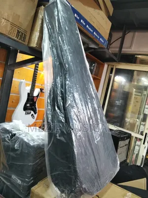 Acoustic Guitar Bag