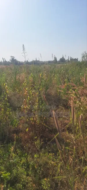 2ha Strategic School Plot for Sale