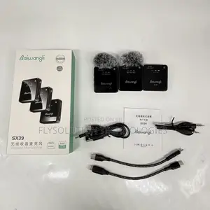 Baiwangli Wireless Mic (Sx39)