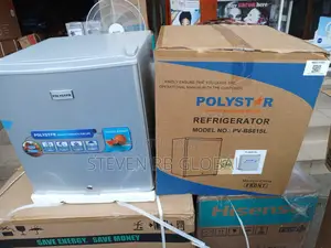 Polystar Bedside Fridge 45 Litres – Silver | Pv-bs81sl