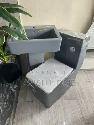 Gray England Toilet Seat With Basin and Pedestal