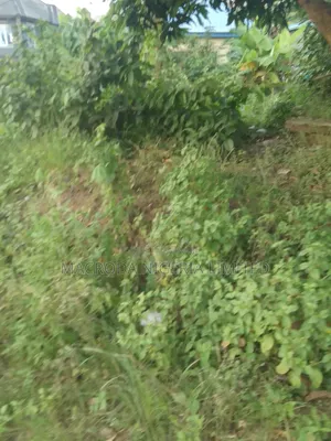 Land Selling Hot at Lekki