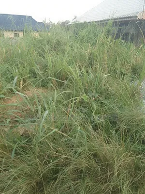 Well Located Land Available