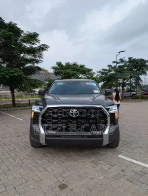 Toyota Tundra 2024 Gray