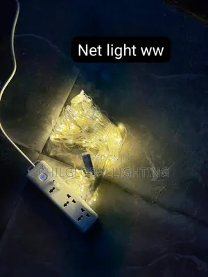 100 Bulbs Christmas Light