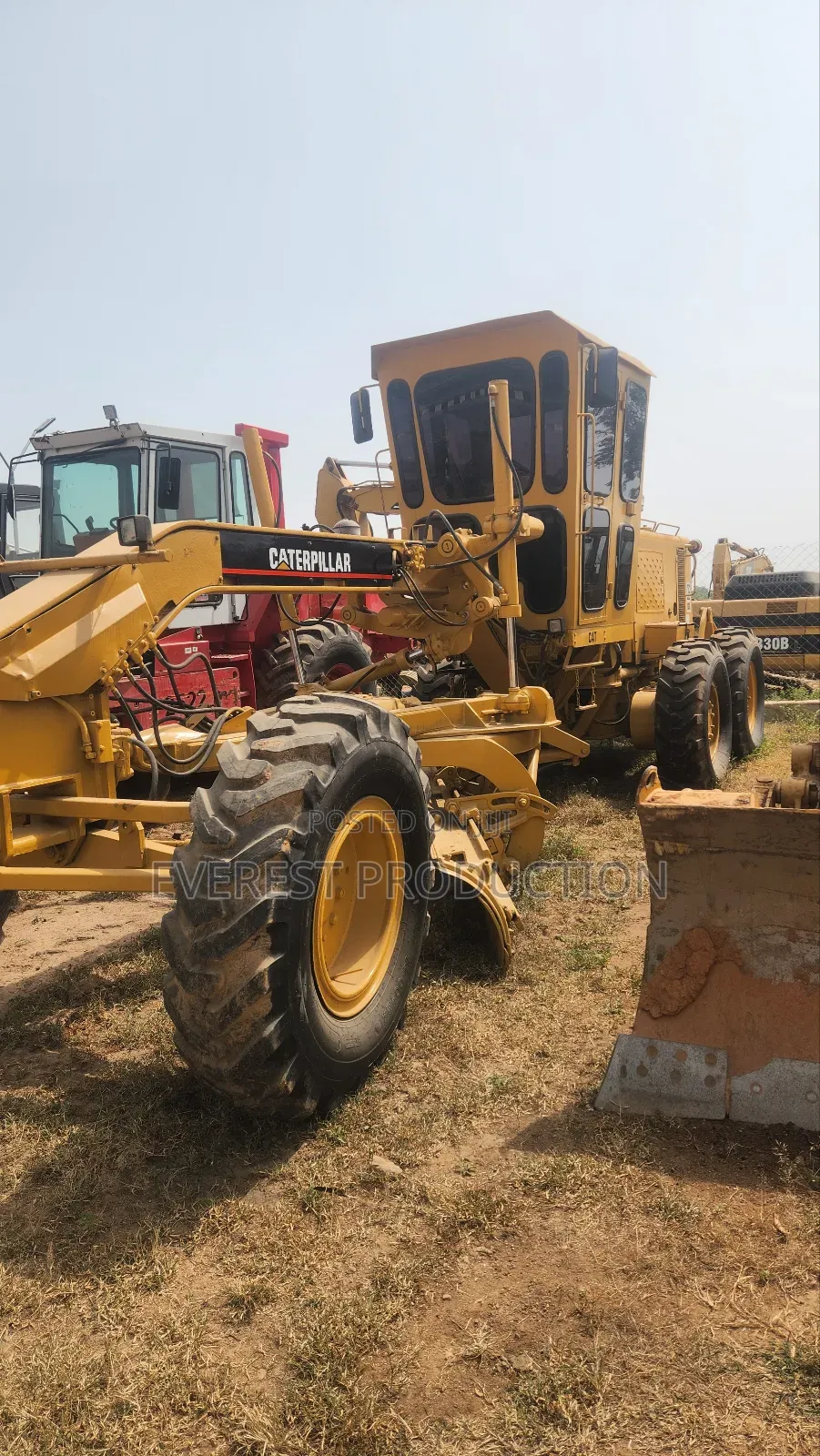 Cat Grader
