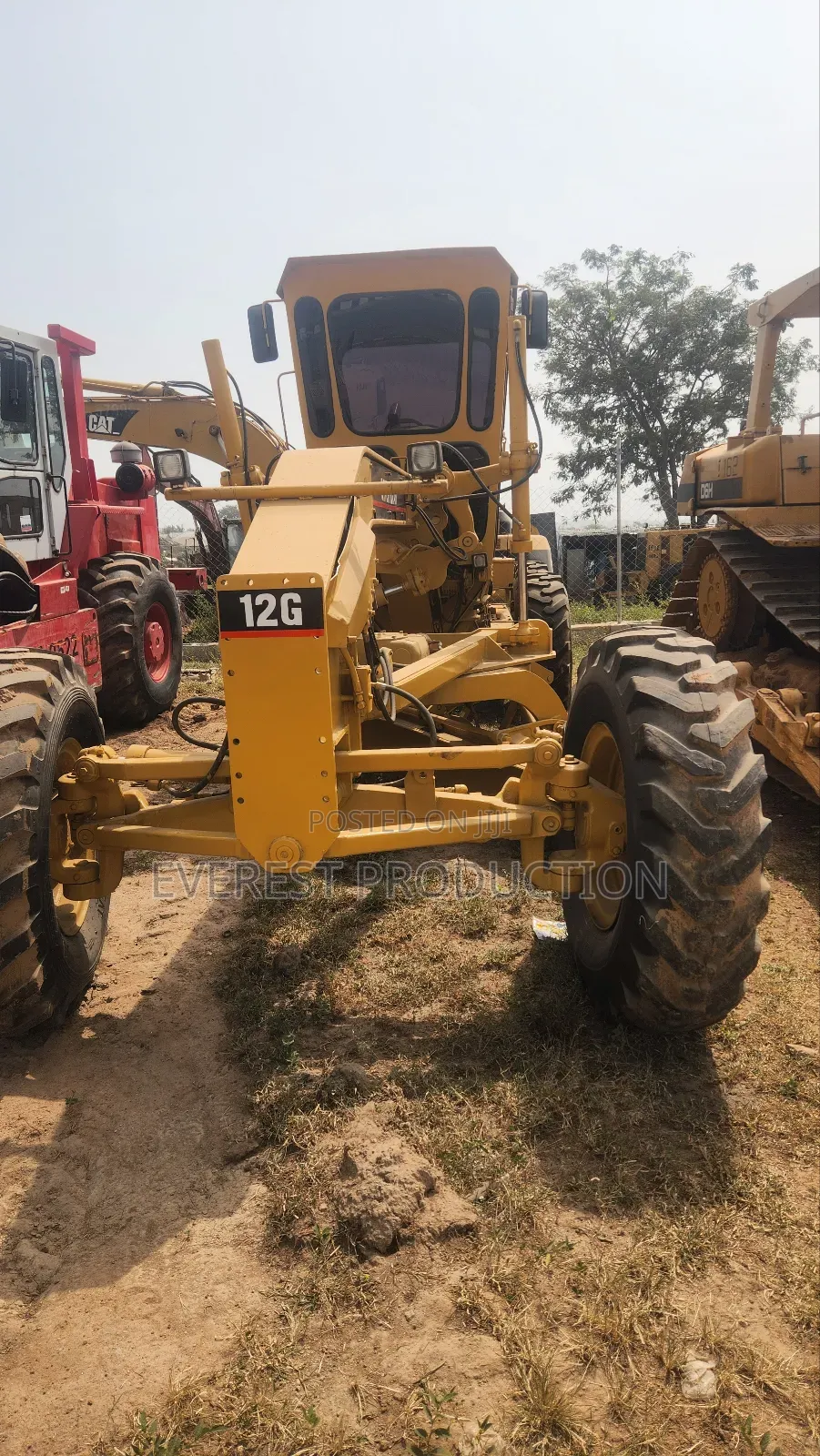 Cat Grader