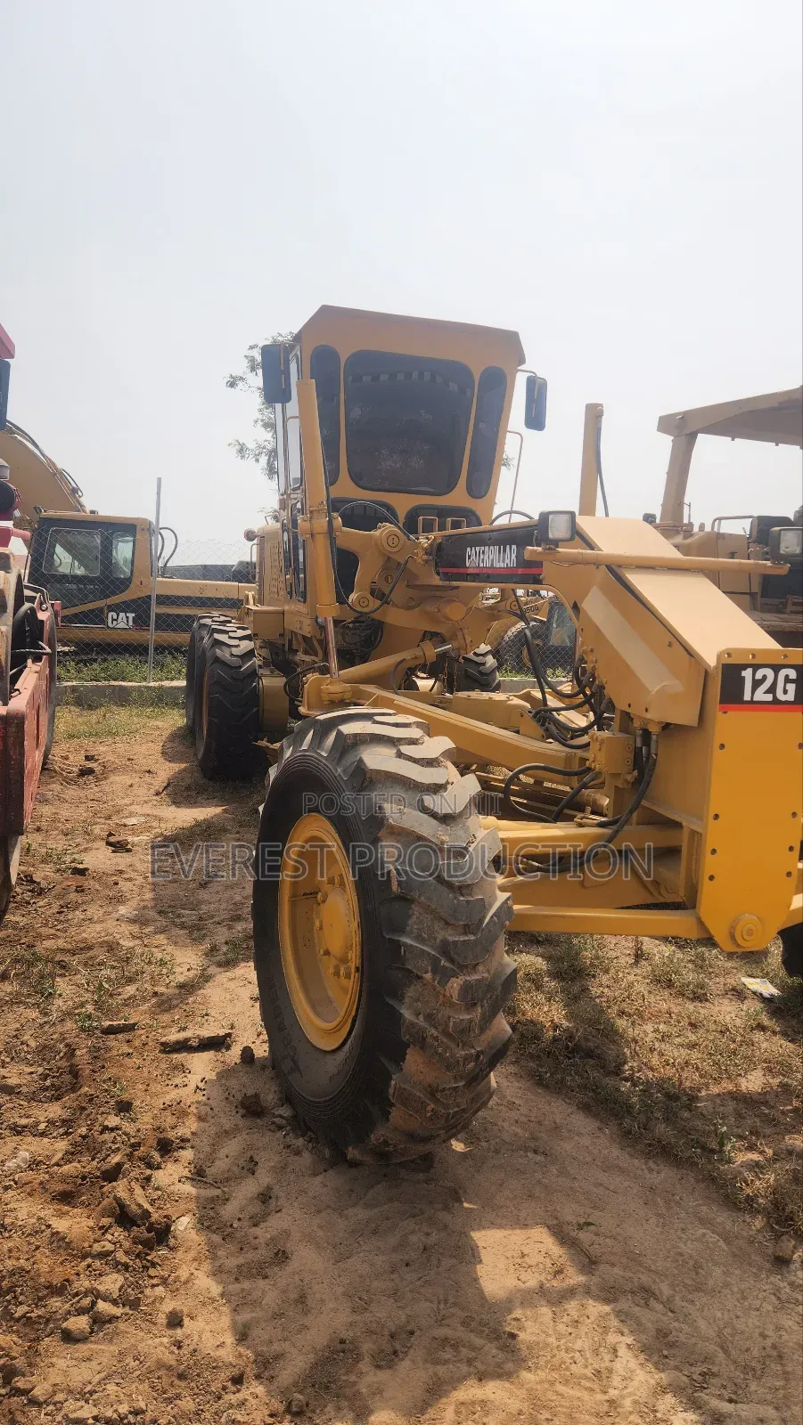 Cat Grader