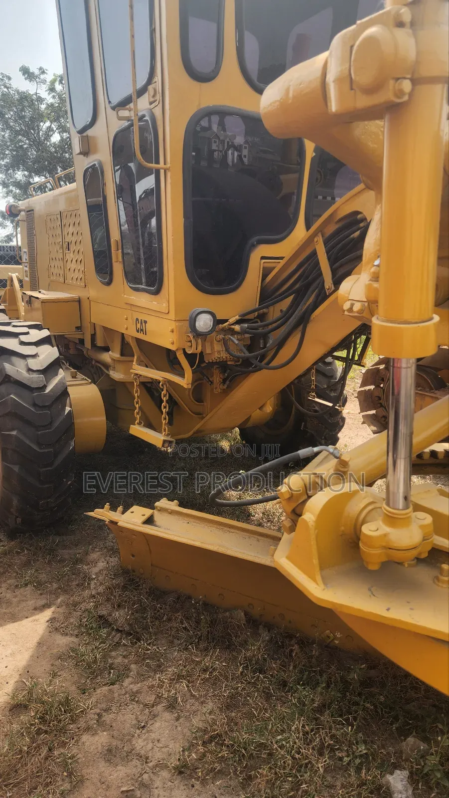 Cat Grader