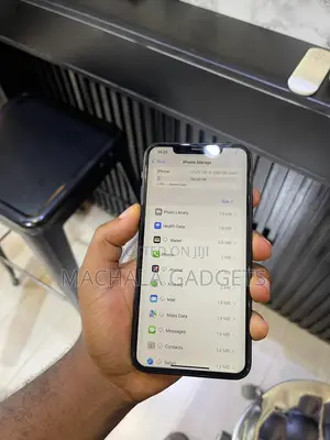 Apple iPhone 11 Pro Max 256 GB Gray