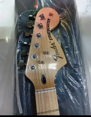 Five String Fender Stratocaster Electric Guitar