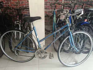 Light Weight Adult Bicycle Size 28 Schwinn Sprint