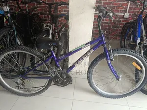 Bicycle for Adult, Size 24 Raleigh Scout