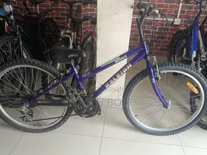Bicycle for Adult, Size 24 Raleigh Scout