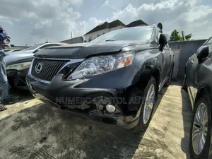 Lexus RX 350 2010 Gray
