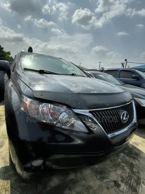 Lexus RX 350 2010 Gray