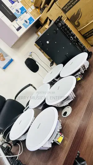 6n1 Ceiling Speakers With Amplifier