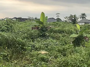 Deed of Conveyance at Igboetche 1plot