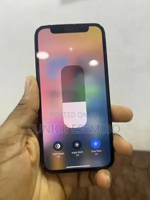 Apple iPhone 11 Pro Max 64 GB Gray