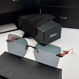 Dior Quality Luxury Ladies Sunglasses