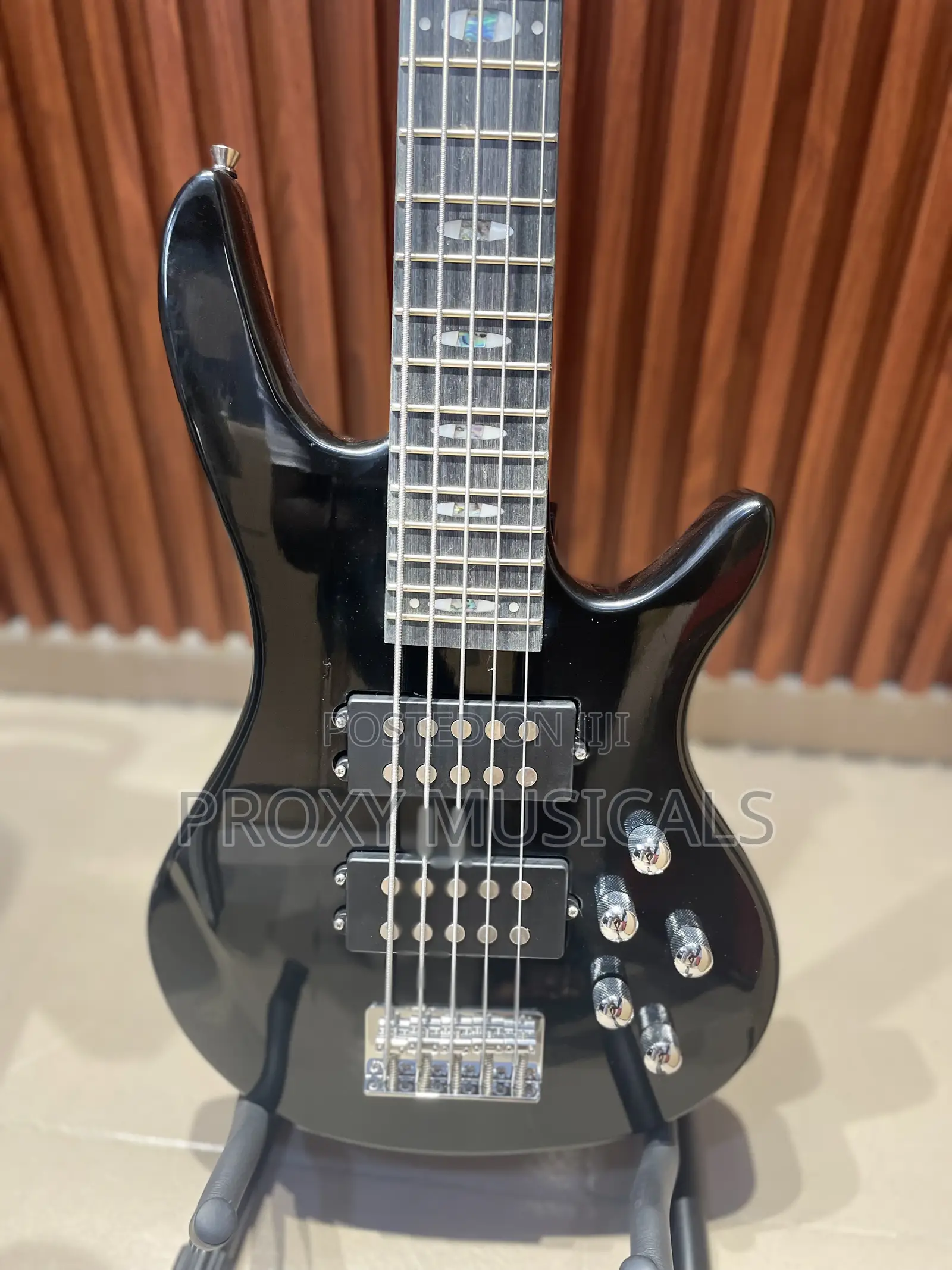 Well Sound Active 6 Strings Bass Guitar