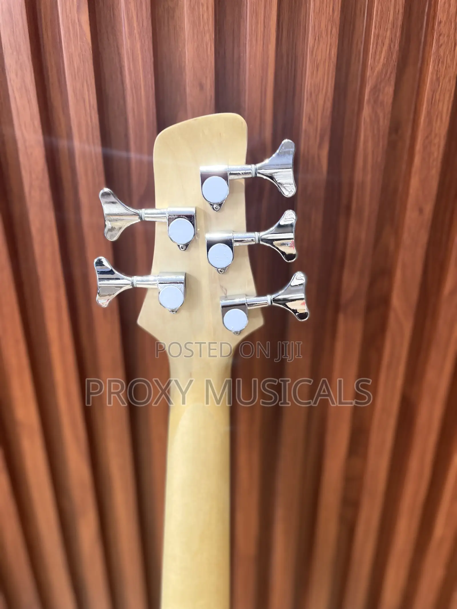 Well Sound Active 6 Strings Bass Guitar