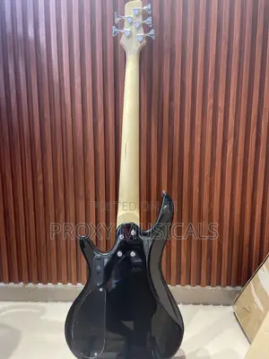 Well Sound Active 6 Strings Bass Guitar