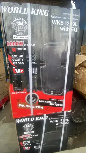 Megaphone Pa System World Kind 12 Inches