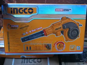 Ingco 800w Aspirator Blower (