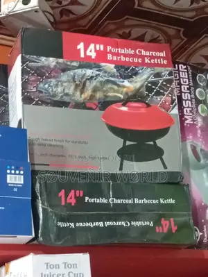 E0 in Portable Charcoal Grill