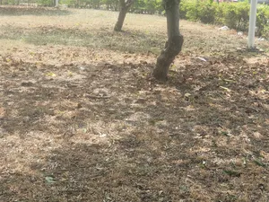 20 Hectares of Land for Sale at Guzape 2 With R of O. Mixed Use Cd