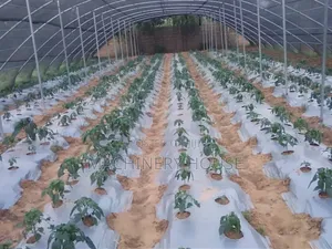 Green House Construction