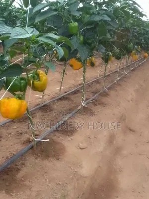 Green House Construction