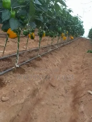 Green House Construction